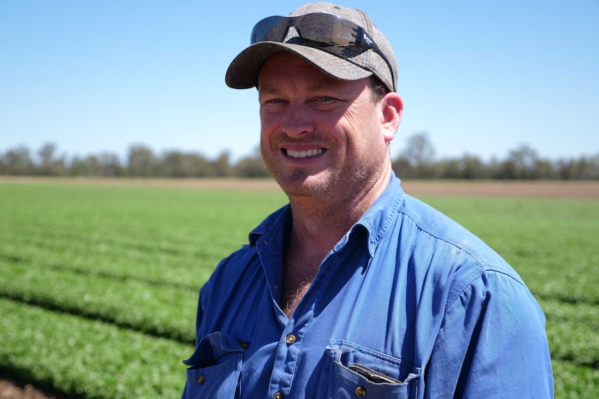 A man in a blue shirt wearing a cap and sunnies on his head stands in a field of green crops.