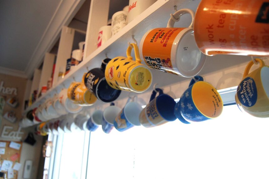 Just a small section of mugs with brand names on them hanging from hooks in the kitchen.