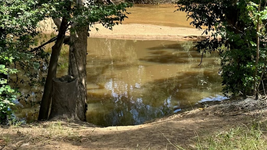 a creek bed