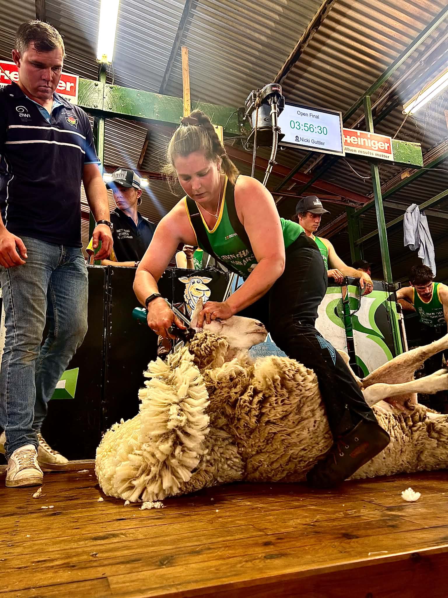 Courageous woman's journey from back injury to shearing shed glory