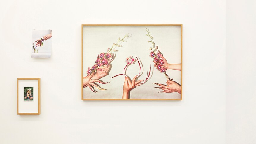 Two frame photos of gesturing hands with fake nails hold orchids and one small framed portrait of a woman hang on gallery wall.