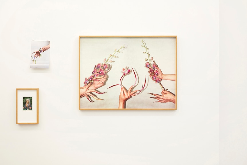 Two frame photos of gesturing hands with fake nails hold orchids and one small framed portrait of a woman hang on gallery wall.