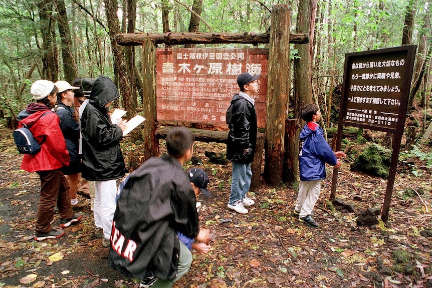 A group of children stand in a forest reading two signs written in Japanese.