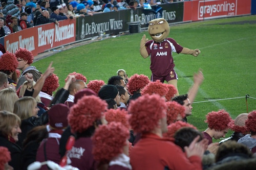 Kane the cane toad excites fans at the State of Origin.