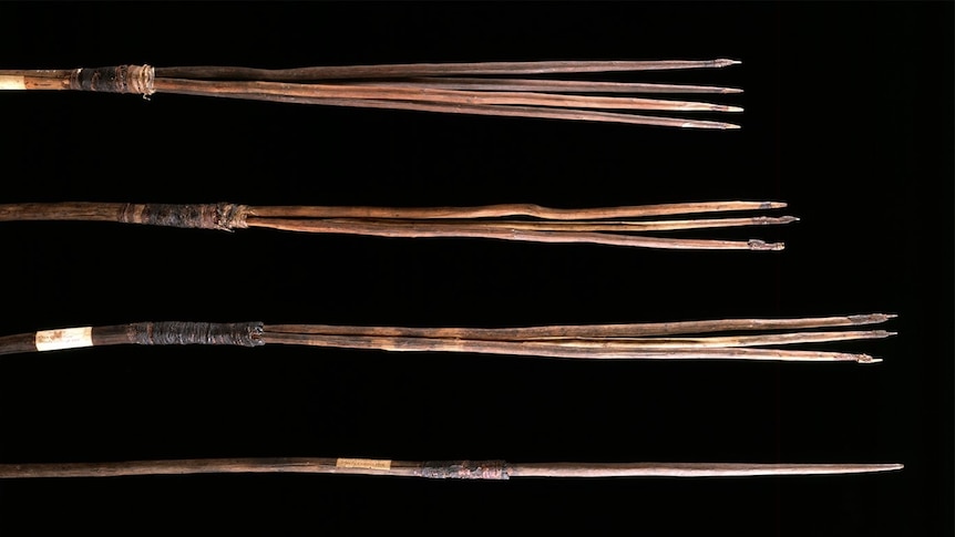 Original Kamay spears taken from Botany Bay by James Cook in 1770
