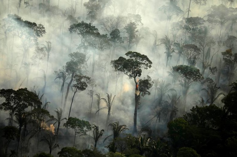 Smoke billows during a fire in an area of the Amazon rainforest.