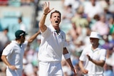 Steyn celebrates his fifth wicket