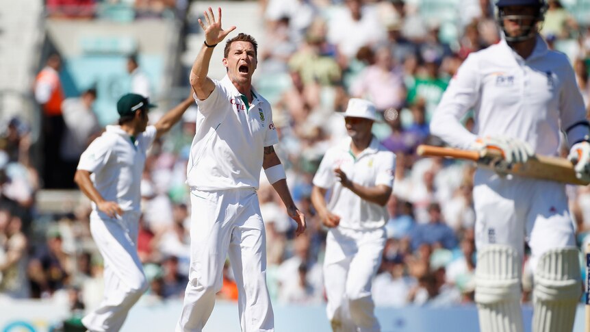 Steyn celebrates his fifth wicket