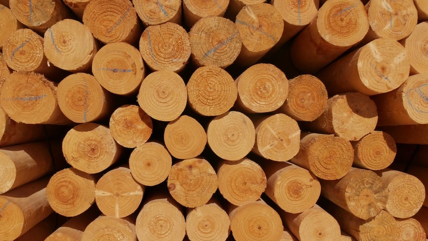 Close-up of fence posts stacked in a pile.