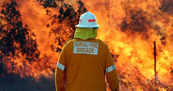 A man in orange firefighting uniform stands with his back to the camera, facing a wall of fire.