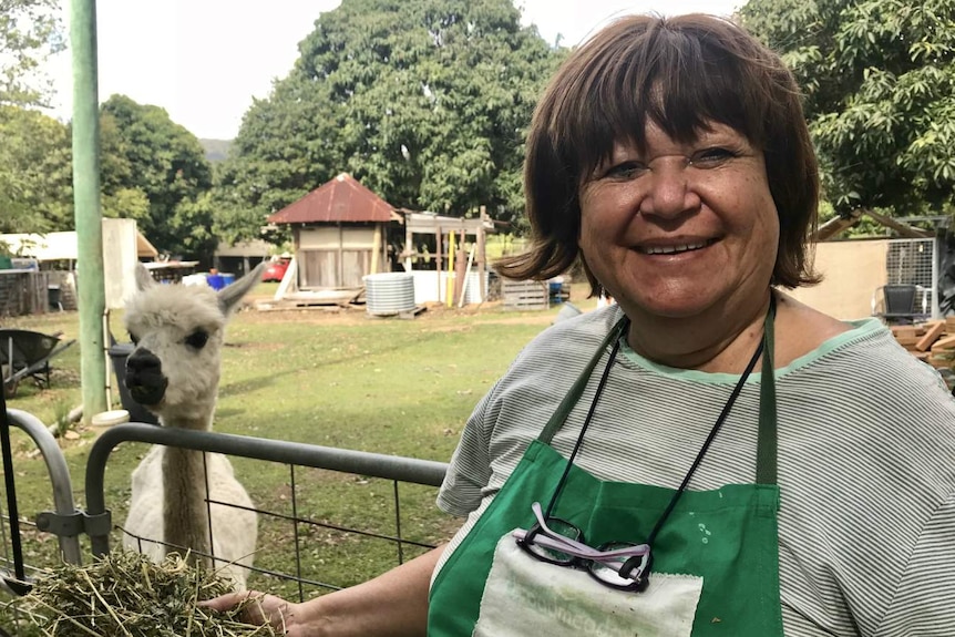 Maureen Piggott feeding an alpaca