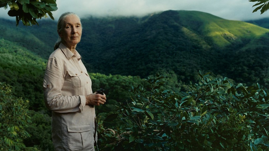 Dame Jane Goodall