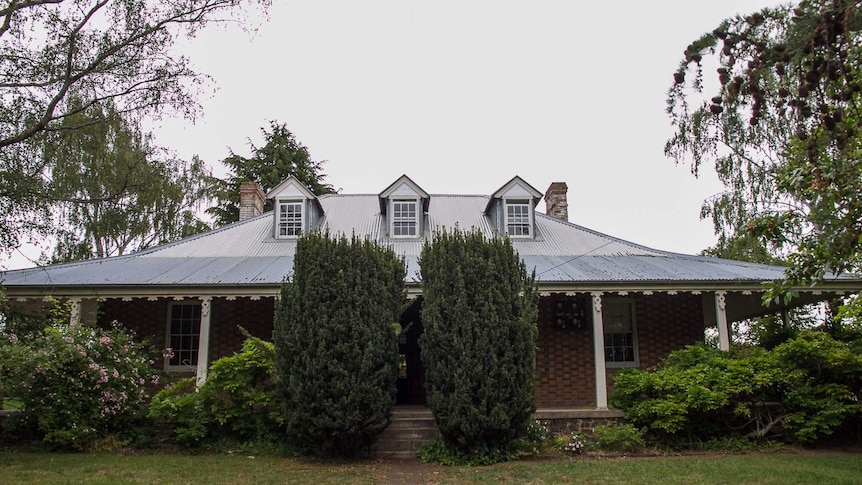 A tin roofed house with a verandah in a garden