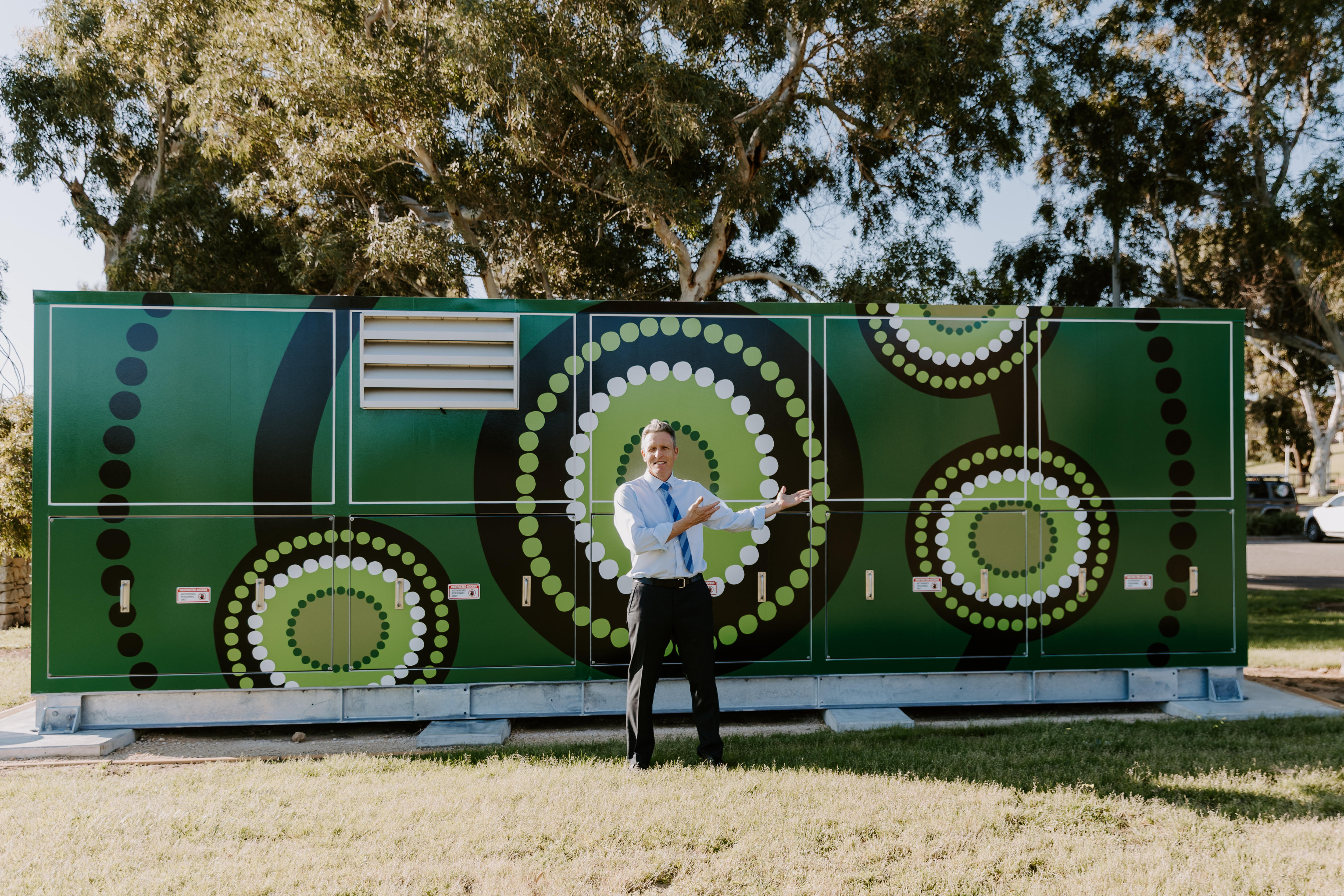 Josh Wilson stands in front of a community battery with green artwork on it.