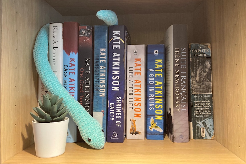 A crocheted snake wraps itself around some books, positioned near a succulent plant, on a bookshelf
