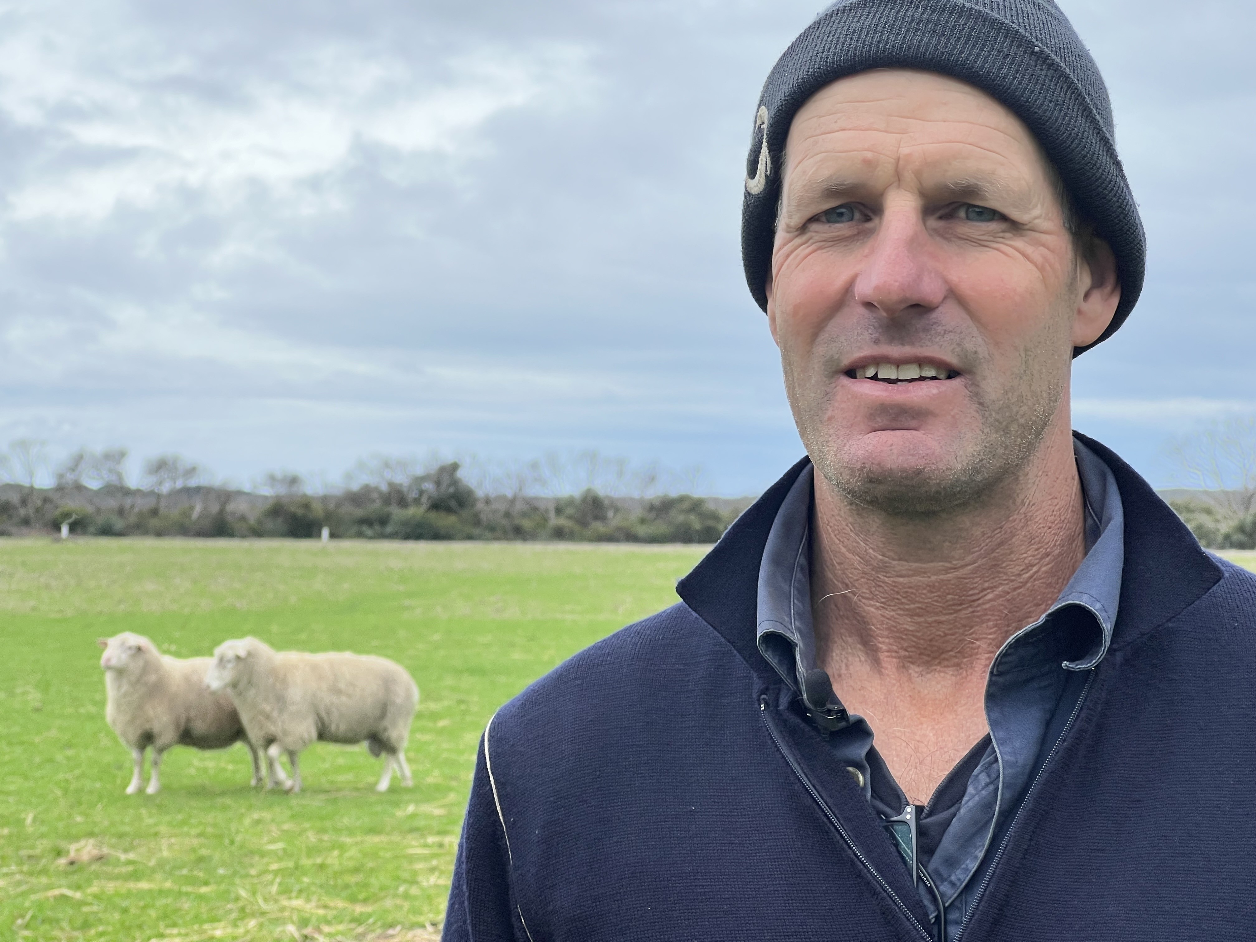 A man wearing a beanie in a green paddock with sheep in the background