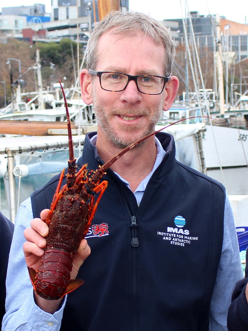 Professor Caleb Gardner holding a lobster.
