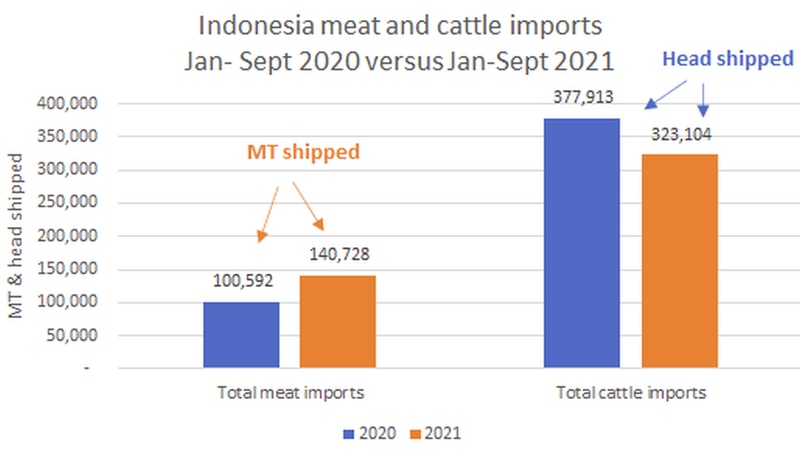 Un graphique des importations de viande et de bétail en Indonésie.