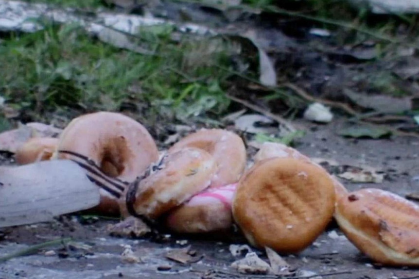 Donuts on the ground.