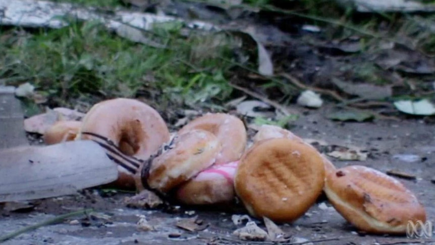 Donuts on the ground.