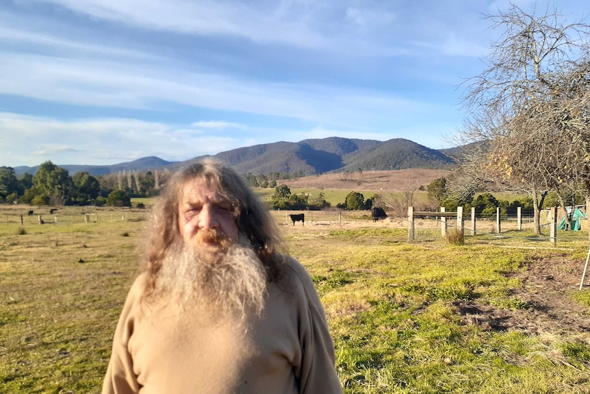 Millage standing in paddock with cow and mountains in background.