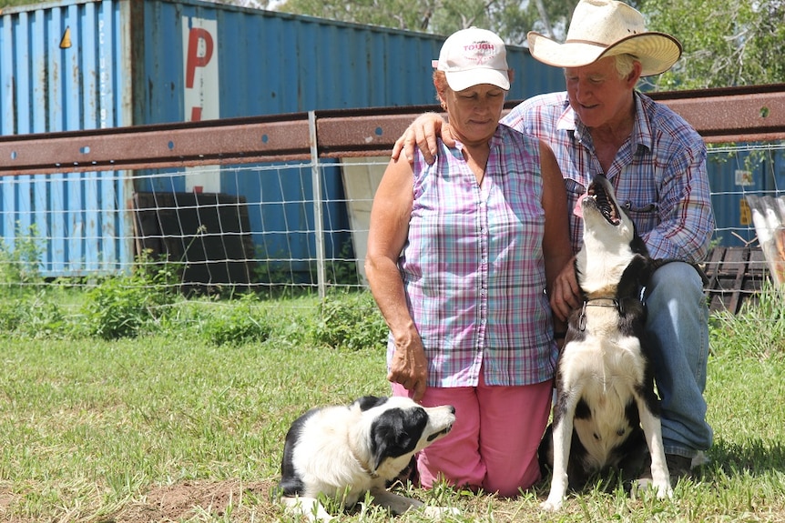 The Hanrahan's kneel with two black and white border collie working dogs.