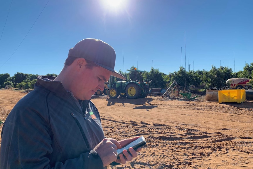 Farmer looks at his phone to trade water