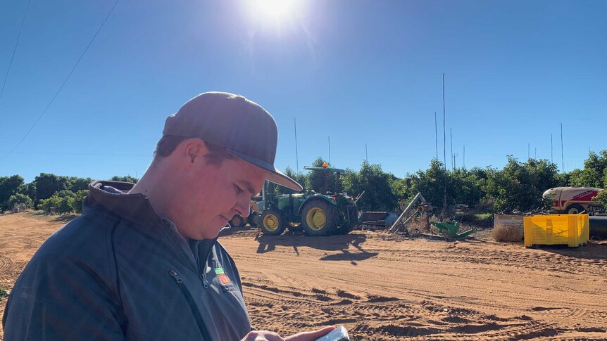 Farmer looks at his phone to trade water