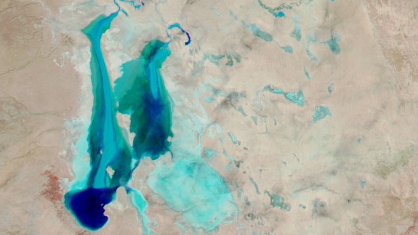satellite image of Lake Eyre corrected so that the lake stands out bright blue against the sea of sand