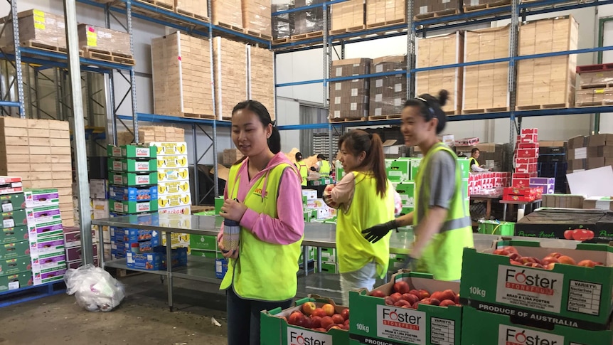 Three women in high-viz vests with fruit boxes and behind them shelves of wooden crates