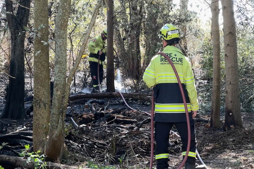 Firefighters extinguishing fire in the bush