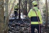 Firefighters extinguishing fire in the bush