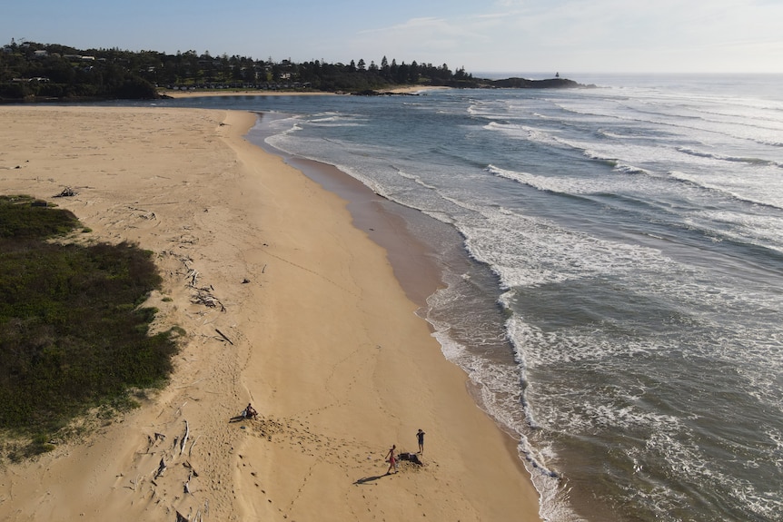 A drone shot of a beach with people rushing to help to injured people.