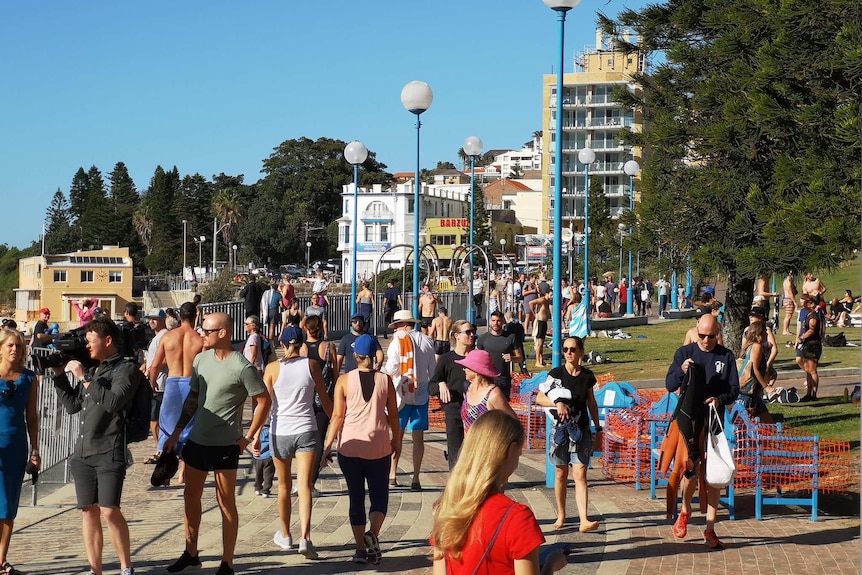 Lots of people at a  beach.