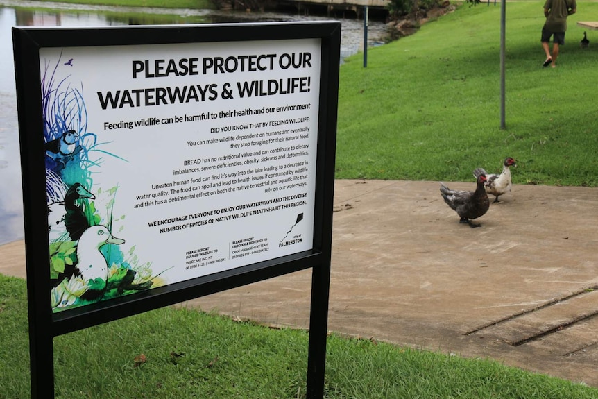 Waterways and wildlife sign with two ducks walking past.