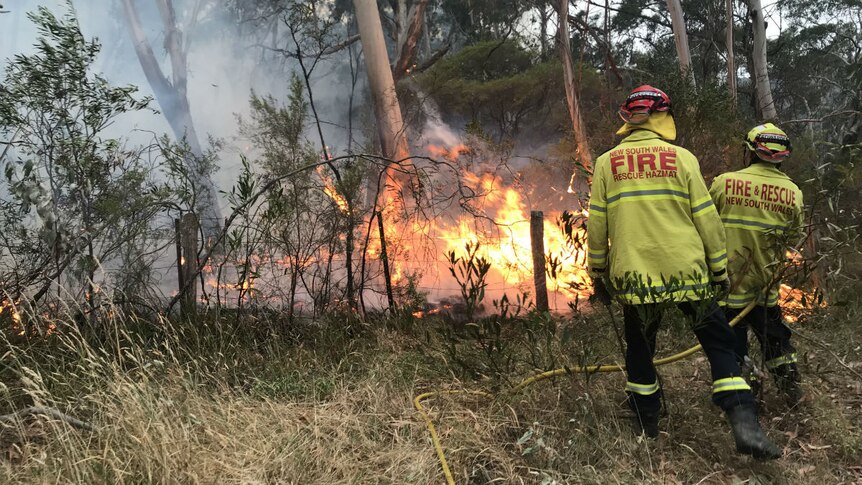 Two firemen tackling fires in bushland in the Blue Mountains.