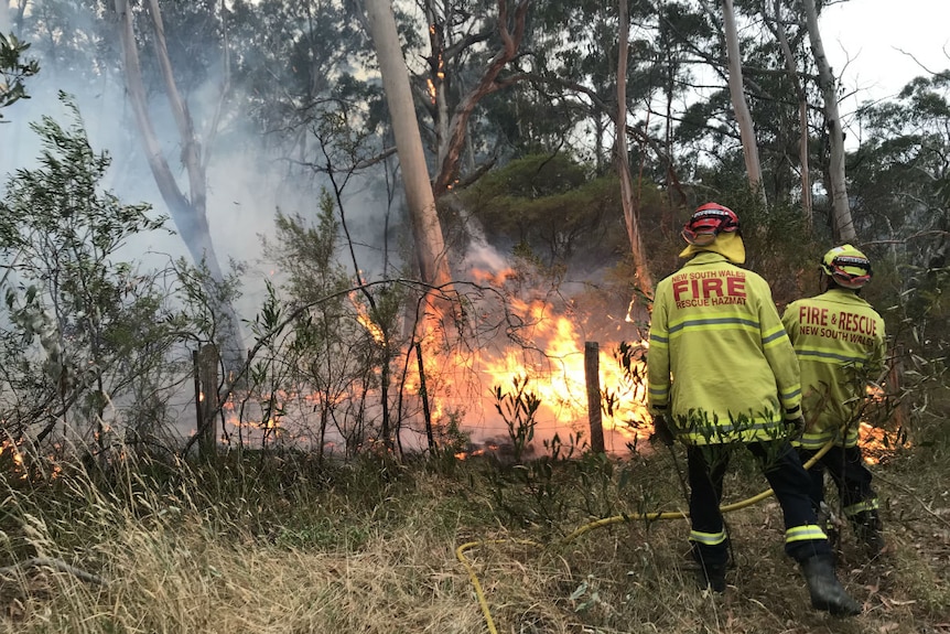 Two firemen tackling fires in bushland in the Blue Mountains.