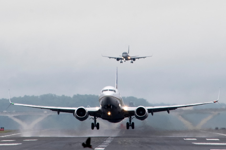 A flight lands on a runway