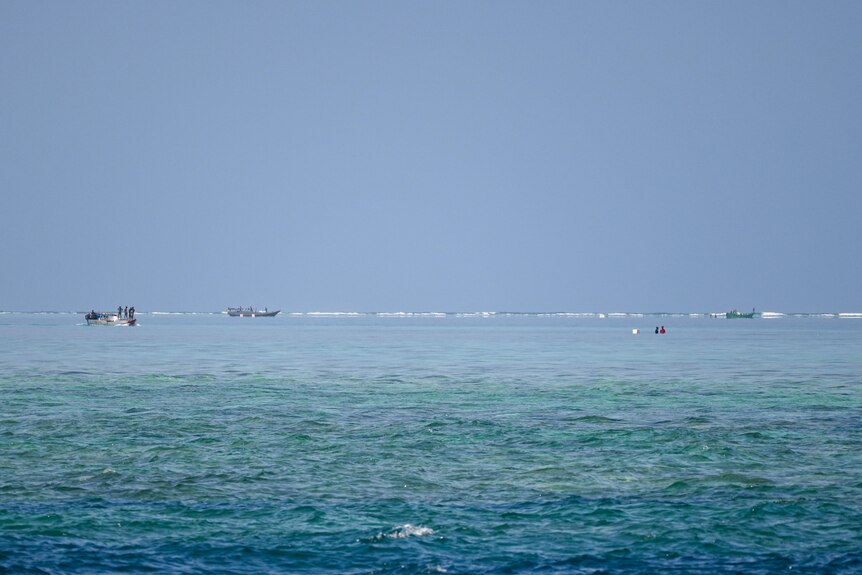 Three boats and two people swimming in water on the horizon.