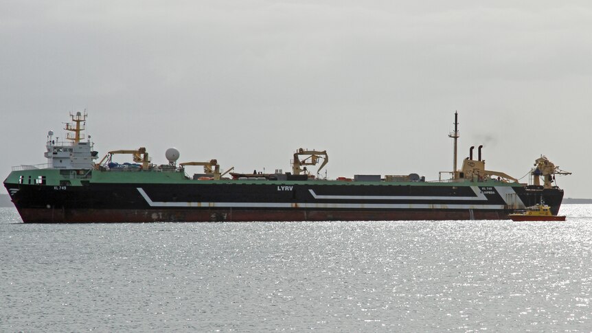 The Abel Tasman remains in Port Linclon.