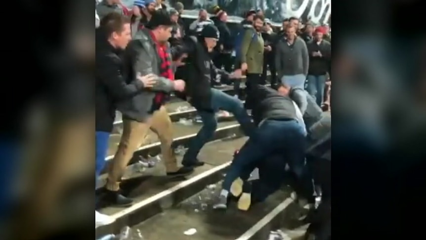 An image from social media shows fans clashing on the terrace at Kardinia Park following the Geelong-Melbourne match.