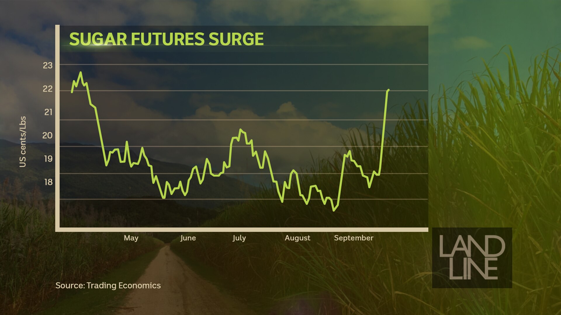 A graph showing a sharp climb in the price of sugar futures. 