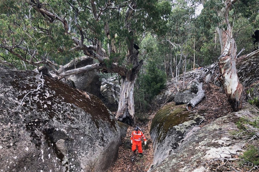 Un homme en uniforme rouge marche parmi des rochers et des arbres.