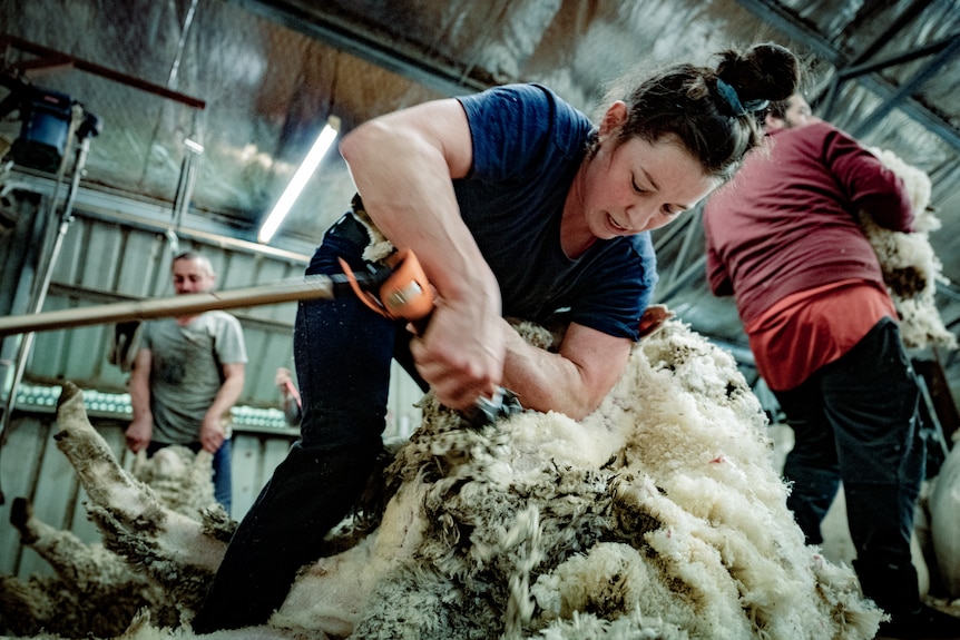 Jeanine Kimm in the shearing shed