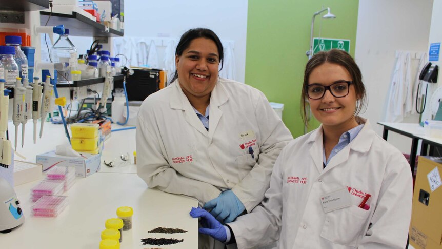 Charles Sturt University researchers Esther Callcott and Kiara Thompson are investigating the health benefits of coloured rice