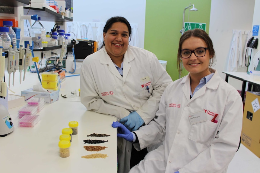 Charles Sturt University researchers Esther Callcott and Kiara Thompson are investigating the health benefits of coloured rice