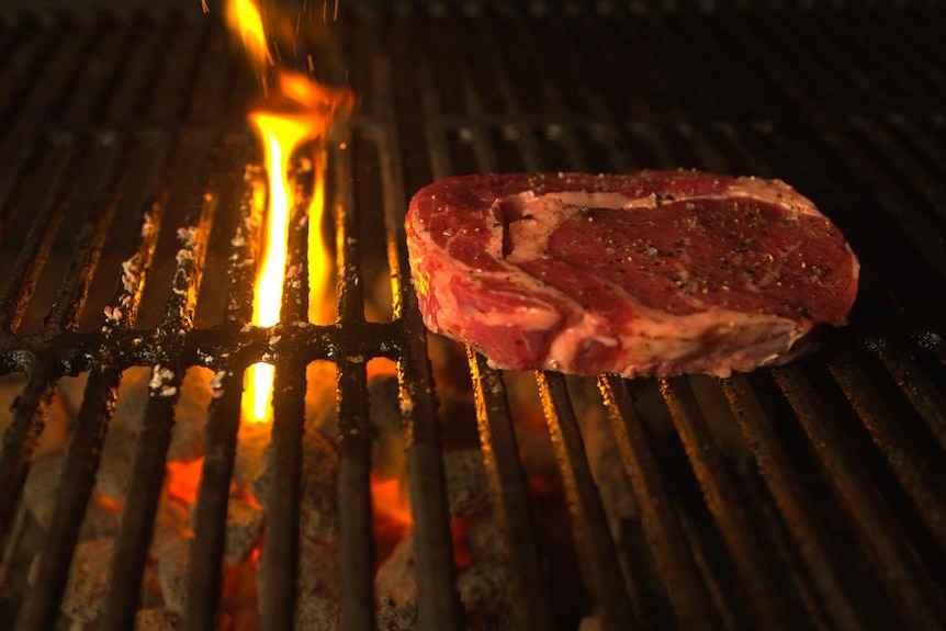 A seasoned piece of steak on a barbecue grill. Behind it a small flame leaps through the grill.