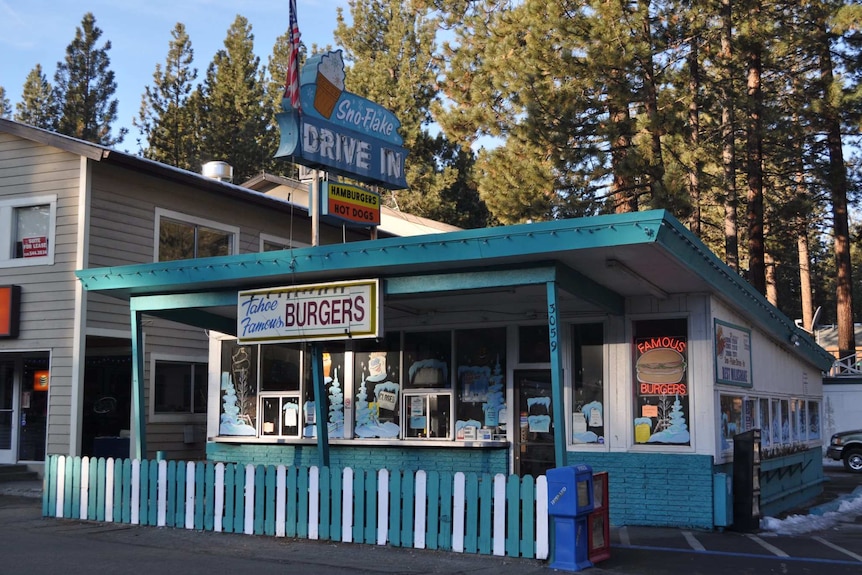 Teal diner building with signs advertising Burgers and hot dogs with large trees in background.