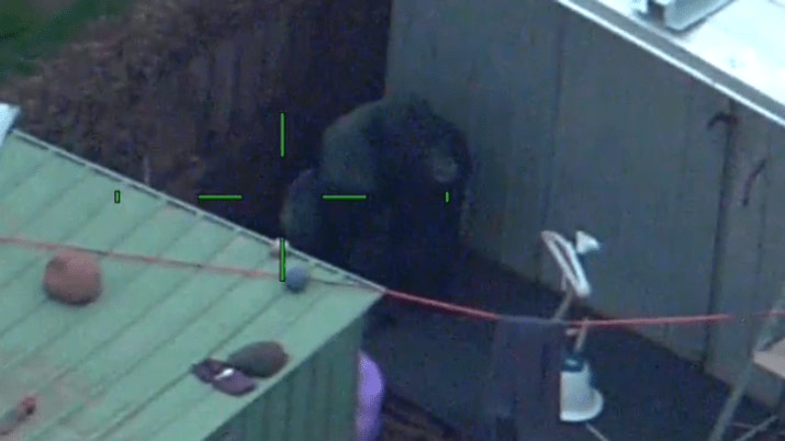 Vision from a helicopter zeroing in on the gorilla statue hidden between two containers.