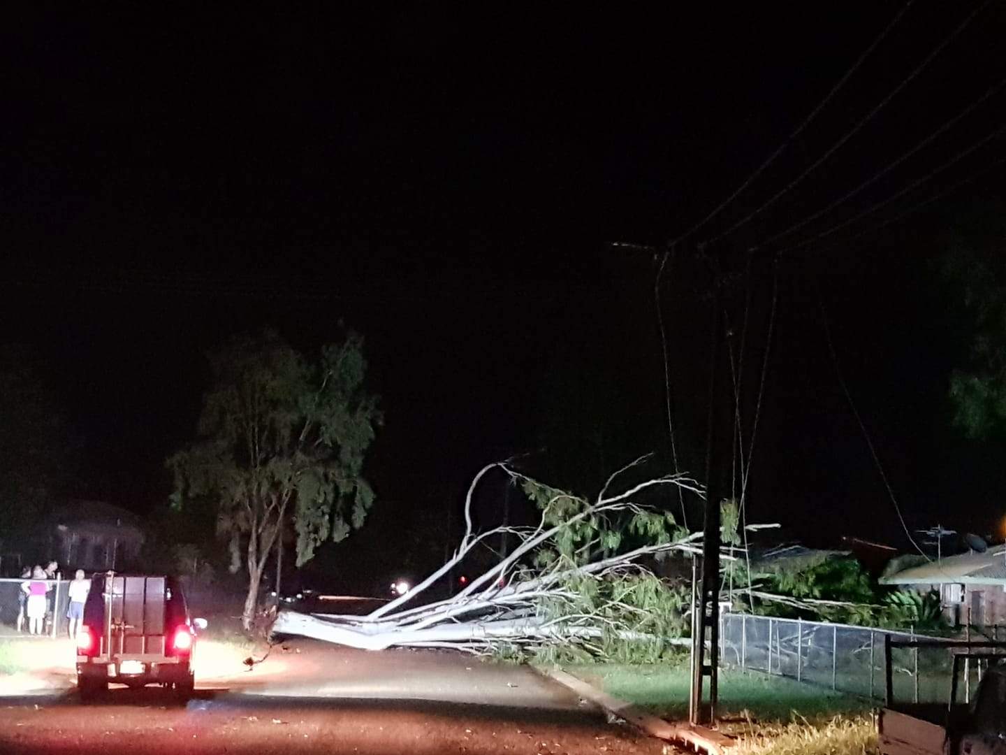 A large gum tree blocks the road at Holtze Crescent in Katherine.